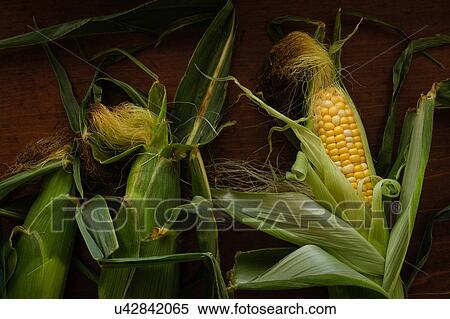 Fresh corn on wooden table View Large Photo Image Stock Photography - Fresh corn on wooden table. Fotosearch