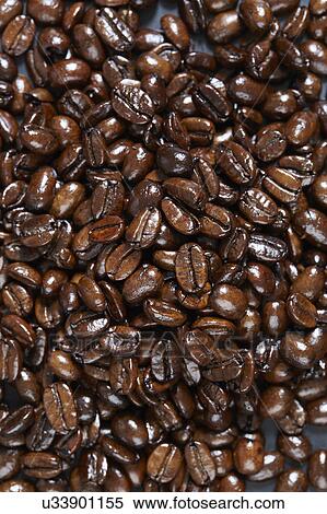 Full frame of roasted coffee beans View Large Photo Image Stock Photography - Full frame of roasted coffee beans. Fotosearch