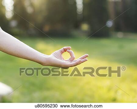 Stock Image - Hand of woman practicing yoga in forest. Fotosearch