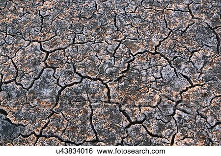 High angle view of cracked desert View Large Photo Image Stock Photograph - High angle view of cracked desert. Fotosearch