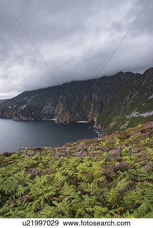 Ireland, County Donegal, Slieve League cliffs by Donegal bay View Large Photo Image Stock Photo - Ireland, County Donegal, Slieve League cliffs by Donegal bay. Fotosearch