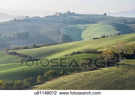 Italy, Tuscany, Castiglione D'orcia, Rolling landscape with autumn trees and plants View Large Photo Image Stock Image - Italy, Tuscany, Castiglione D'orcia, Rolling landscape with autumn trees and plants. Fotosearch