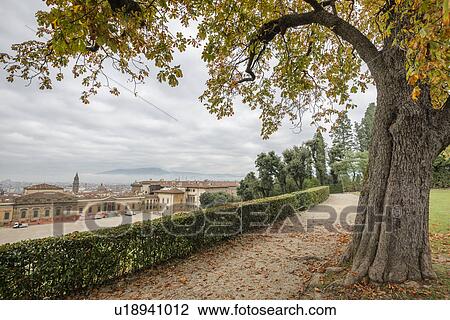 Stock Image - Italy, Tuscany, Florence, Cityscape seen from Boboli gardens. Fotosearch
