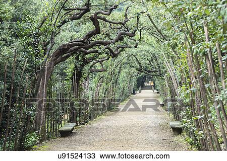 Stock Image - Italy, Tuscany, Florence, Footpath in Boboli gardens. Fotosearch