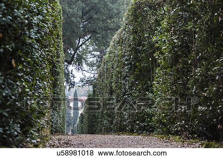 Stock Photo - Italy, Tuscany, Florence, Footpath in Boboli gardens. Fotosearch