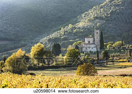Picture - Italy, Tuscany, Montalcino, Abbey of Sant'Antimo near Montalcino against green hills. Fotosearch