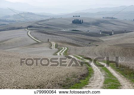 Picture - Italy, Tuscany, San Quirico D'orcia, Long twisting rural road leading through endless gray fields and lonely cypress trees. Fotosearch