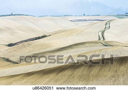 Italy, Tuscany, San Quirico D'orcia, Long twisting rural road leading through endless fields View Large Photo Image Stock Image - Italy, Tuscany, San Quirico D'orcia, Long twisting rural road leading through endless fields. Fotosearch