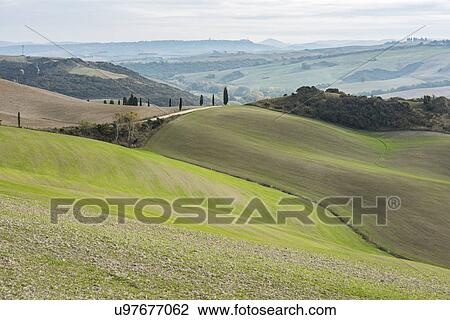 Stock Image - Italy, Tuscany, San Quirico D'orcia, Hills and distant forests on cloudy day. Fotosearch