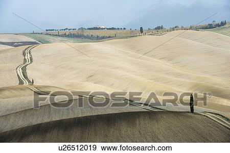 Italy, Tuscany, San Quirico D'orcia, Long twisting rural road leading through endless fields and lonely cypress tree View Large Photo Image Stock Photo - Italy, Tuscany, San Quirico D'orcia, Long twisting rural road leading through endless fields and lonely cypress tree. Fotosearch