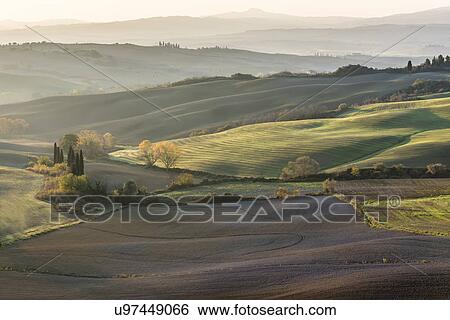 Stock Photograph - Italy, Tuscany, San Quirico D'orcia, Rolling landscape with autumn trees and plants. Fotosearch