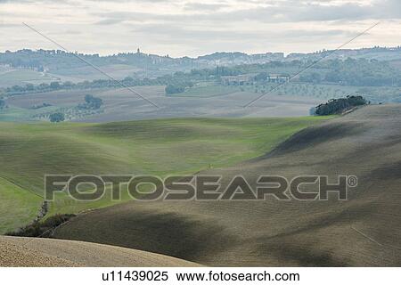Stock Photography - Italy, Tuscany, San Quirico D'orcia, Smooth hills and distant olive gardens on cloudy day. Fotosearch