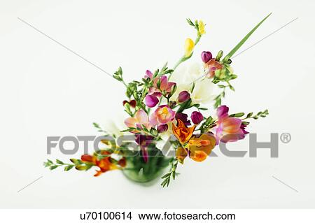 Picture - Jar with bunch of flowers. Fotosearch