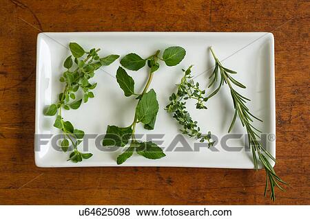 Mint, rosemary, oregano and thyme leaves on white plate View Large Photo Image Stock Photo - Mint, rosemary, oregano and thyme leaves on white plate. Fotosearch