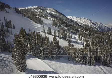 Mountain landscape with forest in winter View Large Photo Image Stock Photograph - Mountain landscape with forest in winter. Fotosearch