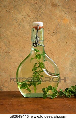 Stock Photography - Olive oil bottle with oregano leaves. Fotosearch