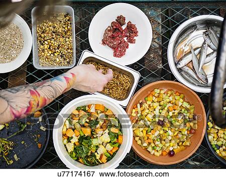 Stock Photo - Person picking up worms from bowl. Fotosearch