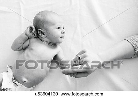 Stock Image - Portrait of newborn boy ( 0-1 months ) holding mother's hand. Fotosearch