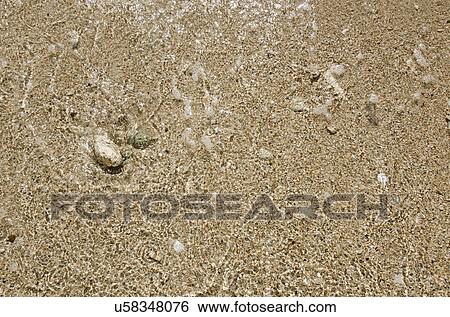 Stock Photograph - Puerto Rico, Coco Beach, Sand with stones and shells. Fotosearch