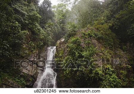 Stock Photography - Puerto Rico, El Yunque National Forest, La Mina Falls in forest. Fotosearch