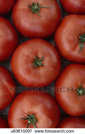 Red tomatoes at market View Large Photo Image Stock Photo - Red tomatoes at market. Fotosearch
