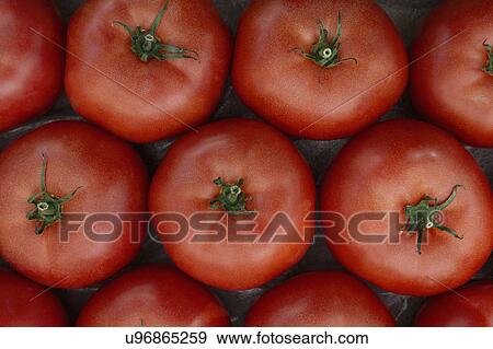 Red tomatoes at market View Large Photo Image Stock Photo - Red tomatoes at market. Fotosearch
