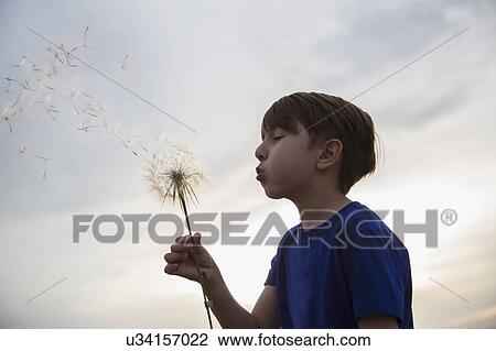 Side view of boy (8-9) blowing dandelion View Large Photo Image Stock Image - Side view of boy (8-9) blowing dandelion. Fotosearch