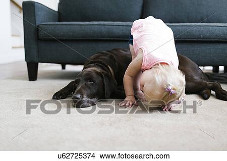 Picture - Small girl (2-3) playing with dog in living room. Fotosearch
