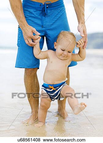 Son (12-17 months) learning to walk with father on beach View Large Photo Image Stock Photo - Son (12-17 months) learning to walk with father on beach. Fotosearch