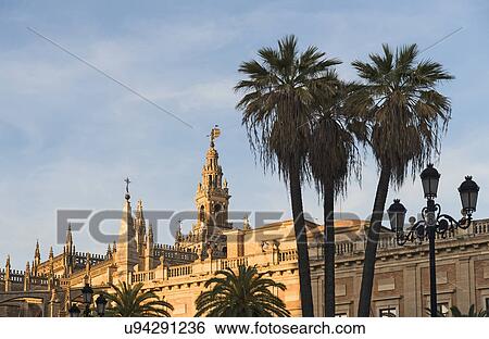 Spain, Andalusia, Seville, Giralda Tower and cathedral with palm trees in foreground View Large Photo Image Stock Photograph - Spain, Andalusia, Seville, Giralda Tower and cathedral with palm trees in foreground. Fotosearch