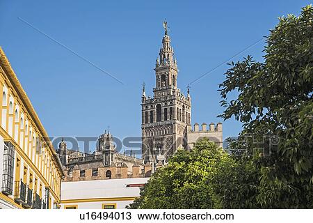 Spain, Andalusia, Seville, La Giralda bell tower of Seville cathedral with tree top in foreground View Large Photo Image Stock Image - Spain, Andalusia, Seville, La Giralda bell tower of Seville cathedral with tree top in foreground. Fotosearch