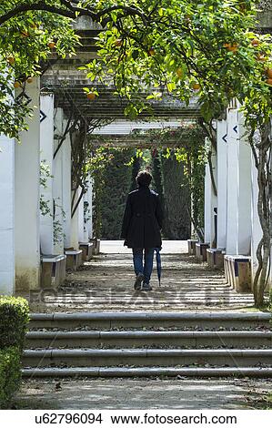 Spain, Seville, Maria Luisa Park, Woman walking through park View Large Photo Image Picture - Spain, Seville, Maria Luisa Park, Woman walking through park. Fotosearch