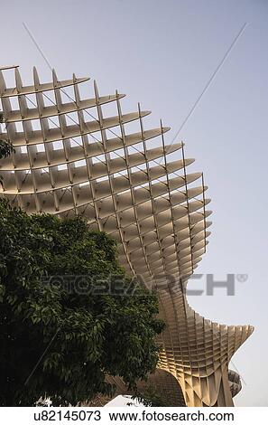 Spain, Seville, Part of Metropol Parasol and trees View Large Photo Image Stock Image - Spain, Seville, Part of Metropol Parasol and trees. Fotosearch