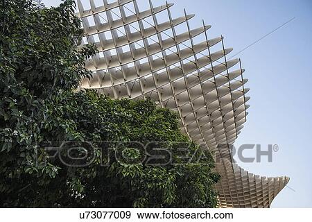 Stock Photo - Spain, Seville, Part of Metropol Parasol and trees. Fotosearch