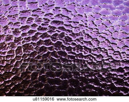 Stock Photograph - Stained glass. Fotosearch