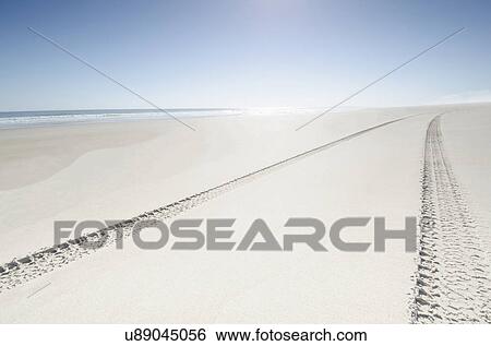 Stock Photograph - Tire tracks on empty beach. Fotosearch