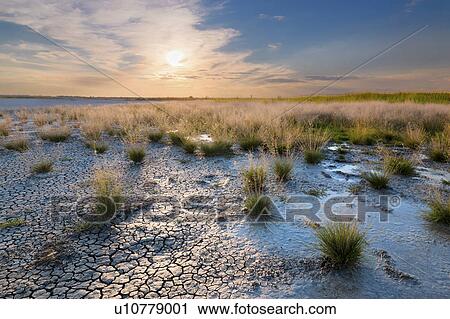 Stock Image - Ukraine, Dnepropetrovsk Region, Novomoskovskiy District, Lake Soleniy Lyman, Desert at sunset. Fotosearch