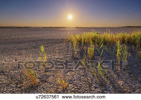 Ukraine, Dnepropetrovsk Region, Novomoskovskiy District, Lake Soleniy Lyman, Desert at sunset View Large Photo Image Stock Image - Ukraine, Dnepropetrovsk Region, Novomoskovskiy District, Lake Soleniy Lyman, Desert at sunset. Fotosearch
