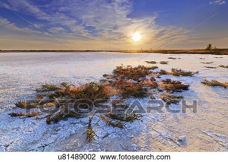 Ukraine, Dnepropetrovsk Region, Novomoskovskiy District, Lake Soleniy Lyman, Desert at sunset View Large Photo Image Stock Image - Ukraine, Dnepropetrovsk Region, Novomoskovskiy District, Lake Soleniy Lyman, Desert at sunset. Fotosearch