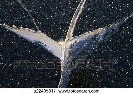 Ukraine, Dnepropetrovsk region, Dnepropetrovsk city, Cracks in ice View Large Photo Image Stock Photo - Ukraine, Dnepropetrovsk region, Dnepropetrovsk city, Cracks in ice. Fotosearch