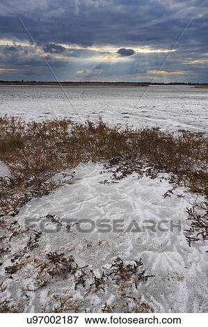 Stock Photo - Ukraine, Dnepropetrovsk Region, Novomoskovskiy District, Lake Soleniy Lyman, Desert at sunset. Fotosearch