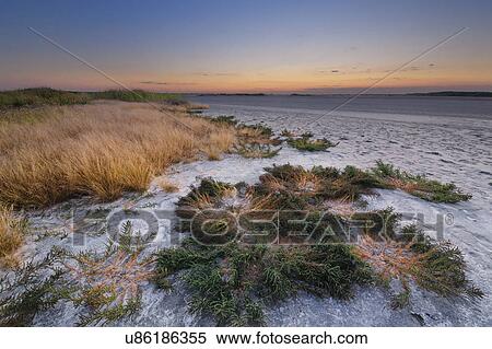 Stock Photography - Ukraine, Dnepropetrovsk Region, Novomoskovskiy District, Lake Soleniy Lyman, Desert at sunset. Fotosearch