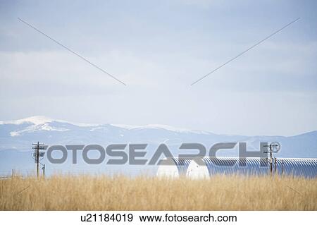 USA, Colorado, Agricultural landscape with snowcapped mountains in background View Large Photo Image Stock Photo - USA, Colorado, Agricultural landscape with snowcapped mountains in background. Fotosearch