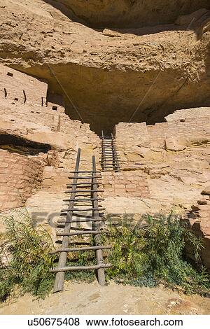 Stock Photo - USA, Colorado, Ladders at Long House pueblo ruin in Mesa Verde National Park. Fotosearch