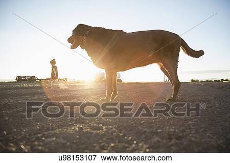 Stock Photo - USA, Colorado, Little girl (4-5) walking on dirt road with Chocolate Labrador standing in foreground. Fotosearch