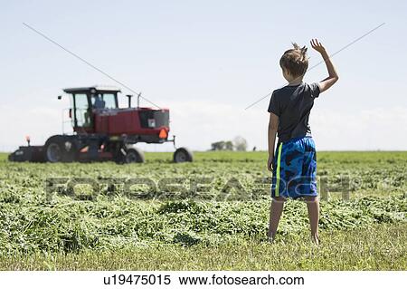 Stock Photography - USA, Colorado, Rear view of boy (8-9) standing in field and waving to father driving combine harvester in field. Fotosearch