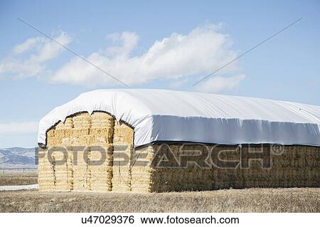 Stock Photograph - USA, Colorado, Stack of hay covered with tarpaulin. Fotosearch