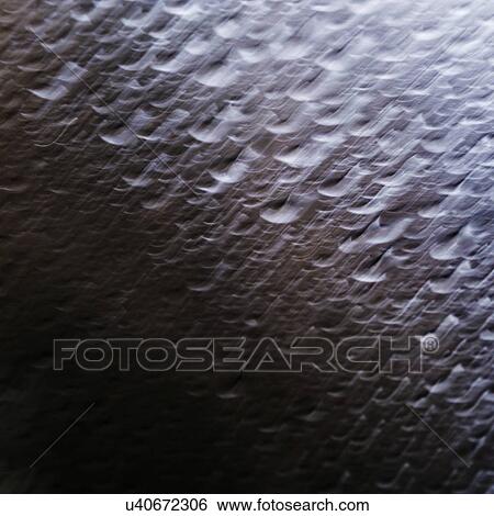 Water droplets View Large Photo Image Stock Photograph - Water droplets. Fotosearch
