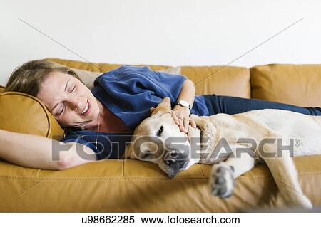 Woman and Labrador Retriever lying down on sofa View Large Photo Image Stock Photography - Woman and Labrador Retriever lying down on sofa. Fotosearch