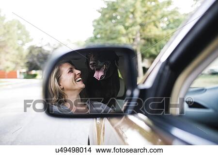 Picture - Woman and Labrador Retriever reflecting in side-view mirror. Fotosearch
